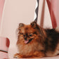 Wiggle Dog Leash