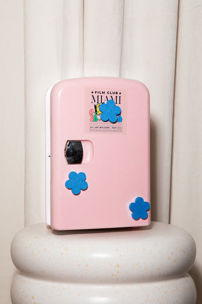 Daisy Fridge Magnets - 4 Pack